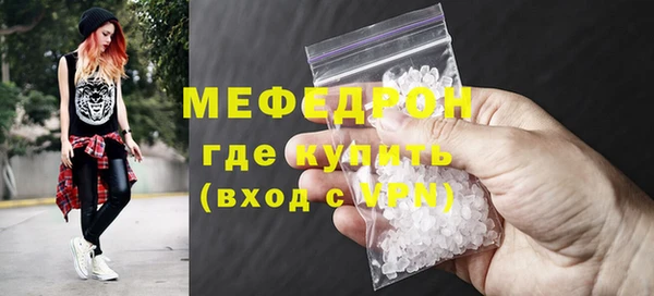 индика Богданович