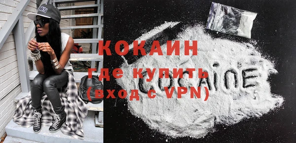 индика Богданович
