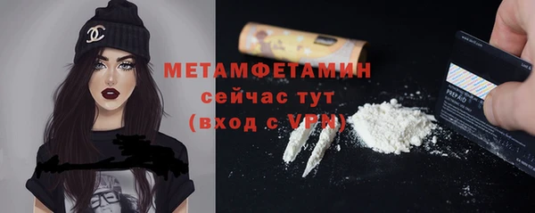 индика Богданович