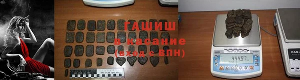 индика Богданович