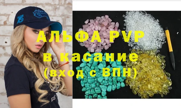 индика Богданович