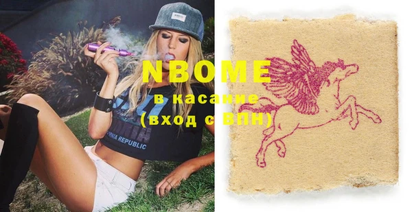 индика Богданович