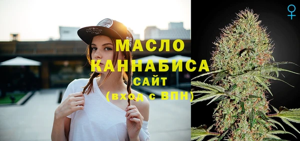 индика Богданович
