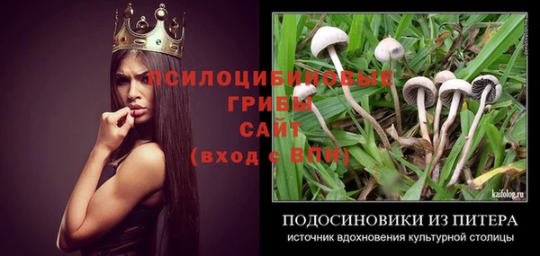 индика Богданович