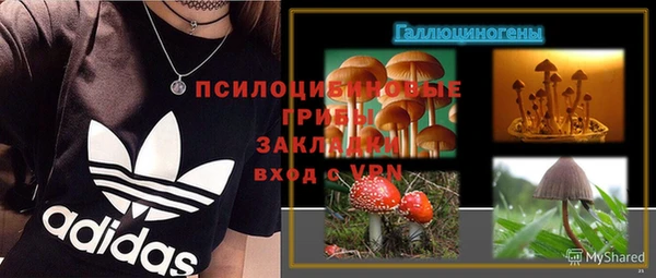 ГАЛЛЮЦИНОГЕННЫЕ ГРИБЫ Богородск