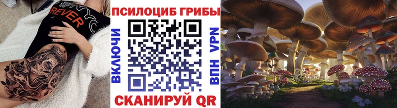 Галлюциногенные грибы GOLDEN TEACHER  сайты даркнета Telegram  Наро-Фоминск 